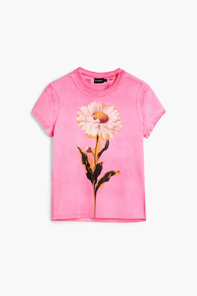 TS_MILAN 3049 ROSA