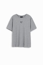 TS_DLOGO 2009 GRIS VIGORE