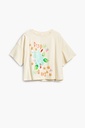 TS_STARS 1001 CRUDO