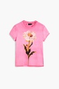 TS_MILAN 3049 ROSA