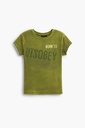 REPRIS_TS_DISOBEY 4015 VERDE TOPO
