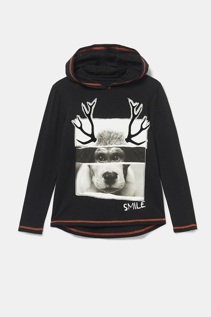 Sudadera capucha algodón